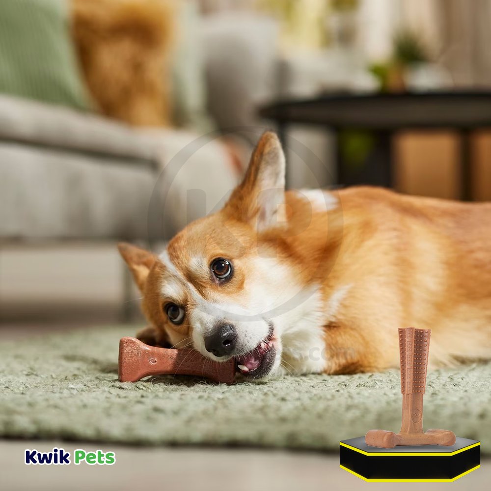 Spot Bam-Bones Plus Dog Chew Toy Beef Medium 6-in