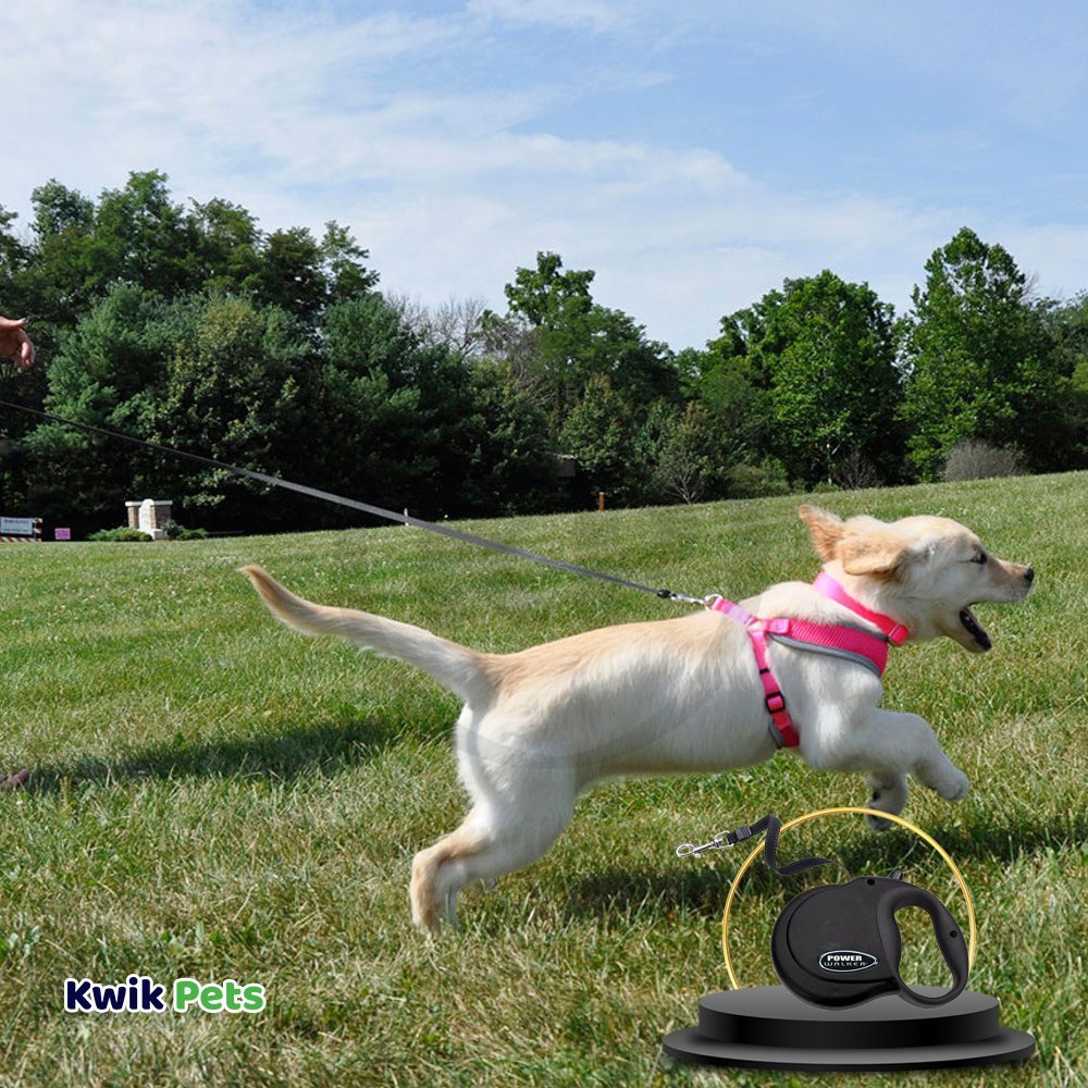 Coastal Retractable Dog Leash Black Small 16 ft