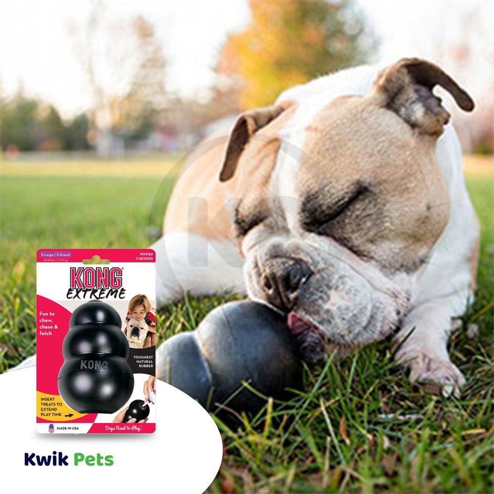 KONG Extreme Dog Toy Black XXL