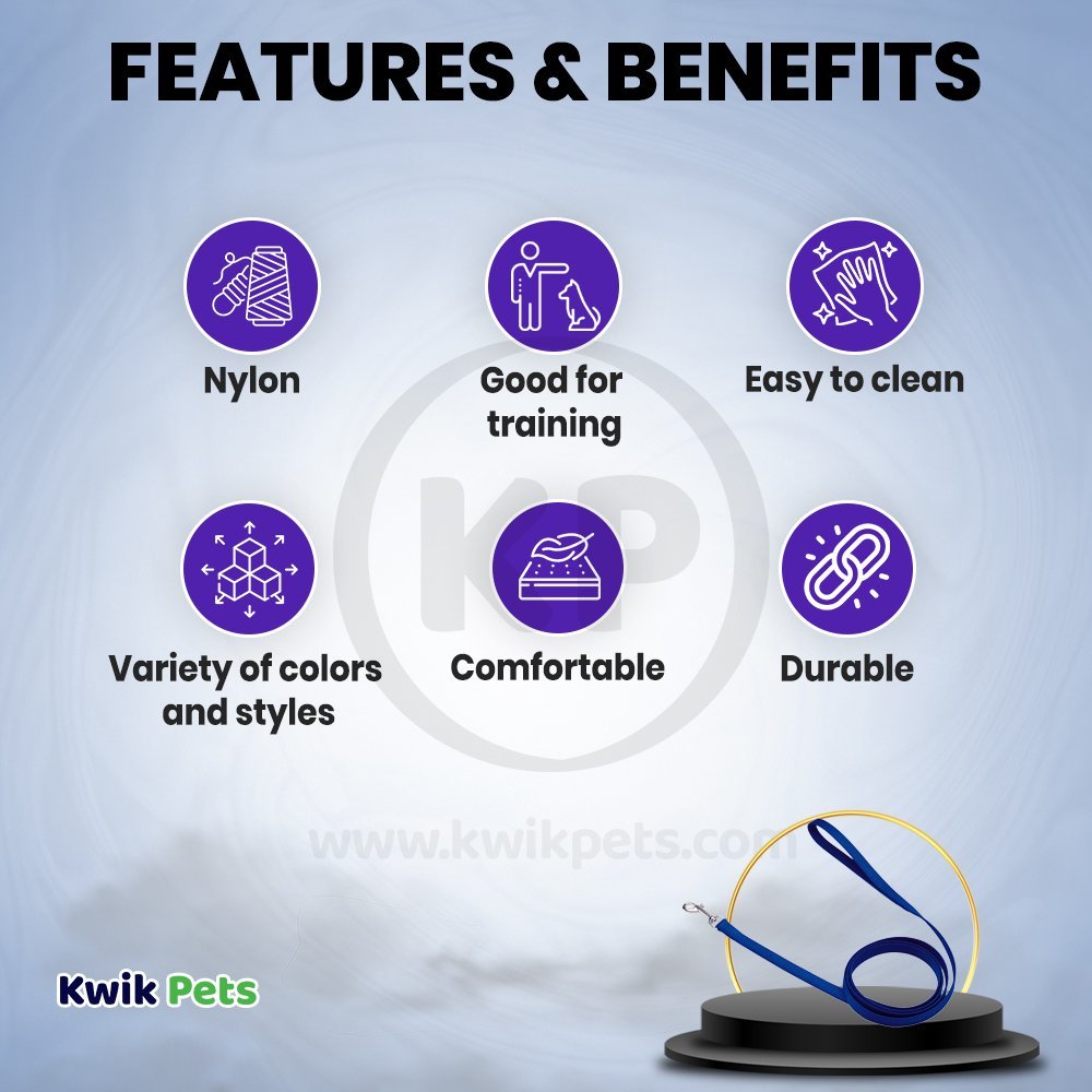 Coastal Single-Ply Nylon Dog Leash Blue 5/8 in X 6 ft