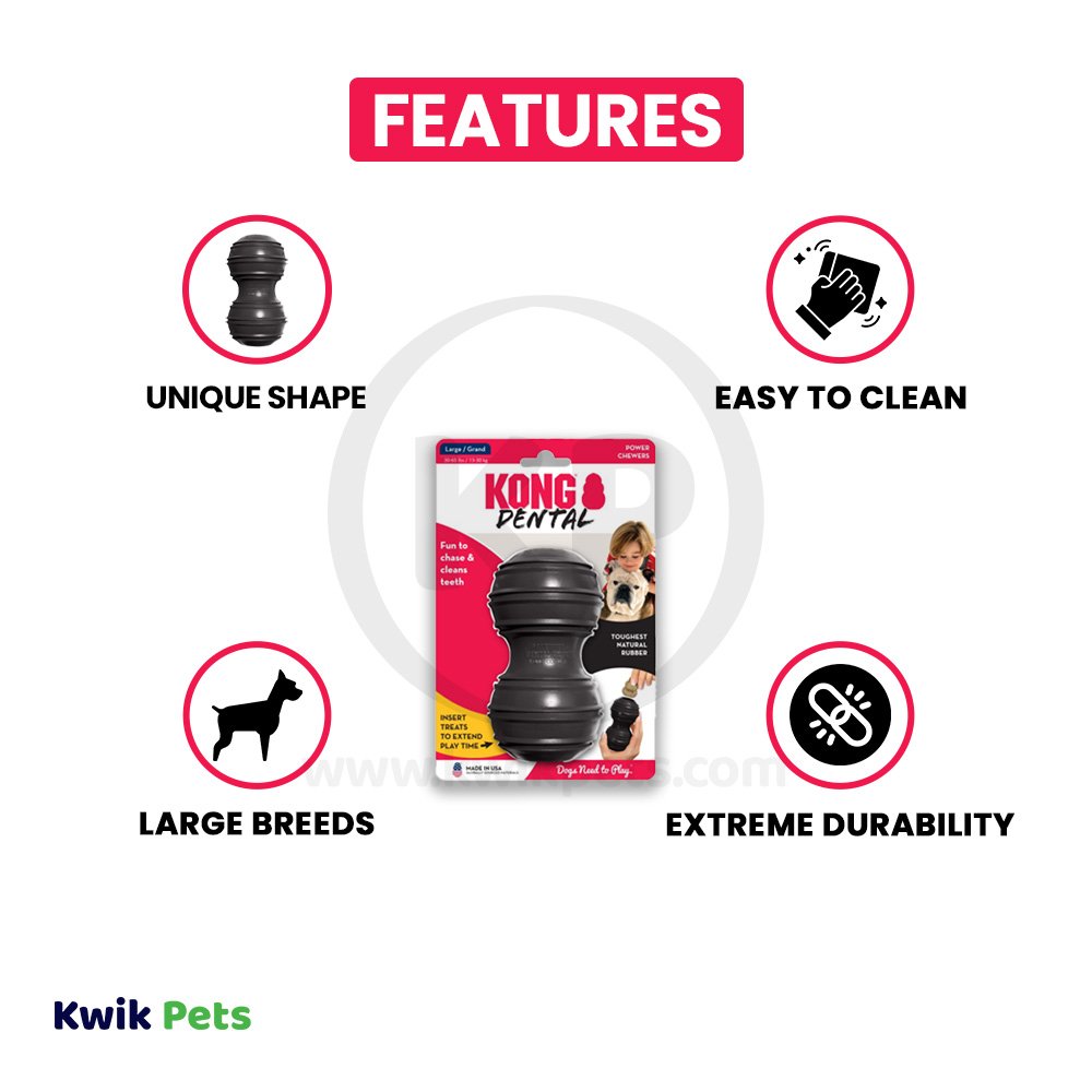 KONG Extreme Dental Dog Toy Large