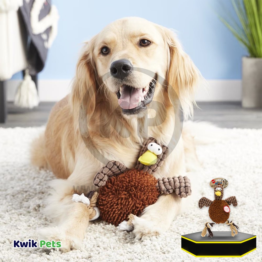 Spot Giggler Plush Dog Toy Chicken Assorted 12-in