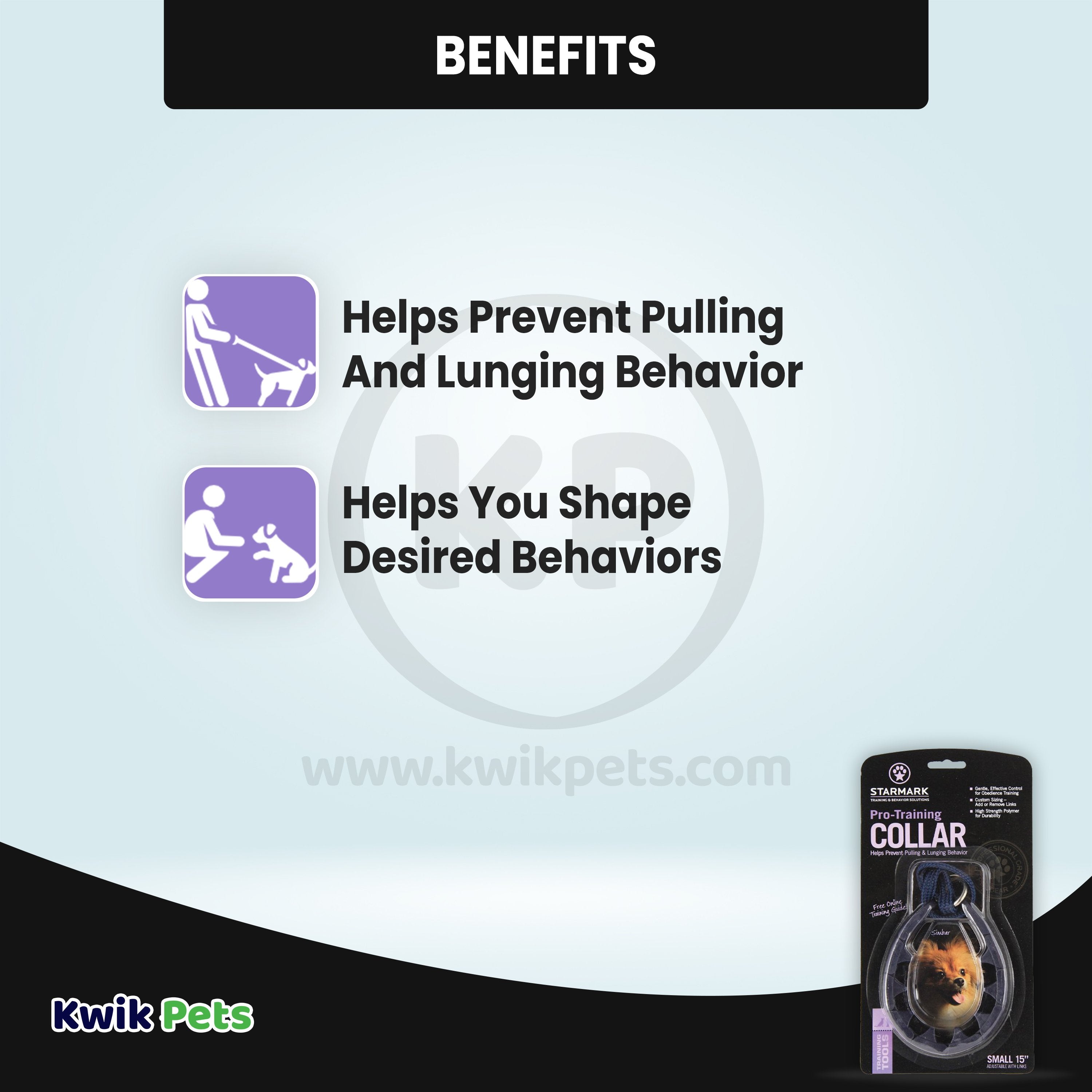 Starmark Pro-Training Dog Collar Black 15-in Small