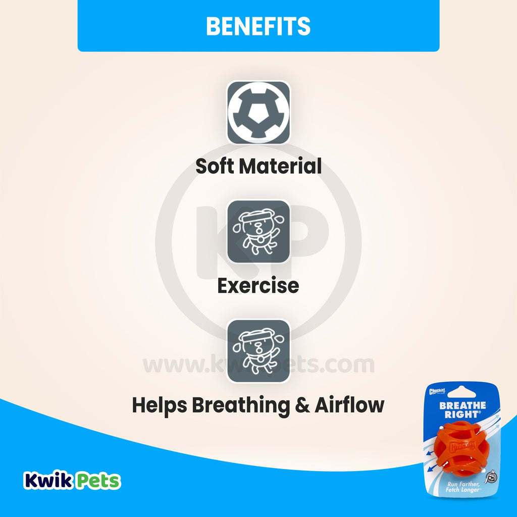 Chuckit! Breathe Right Fetch Ball Dog Toy Orange Medium