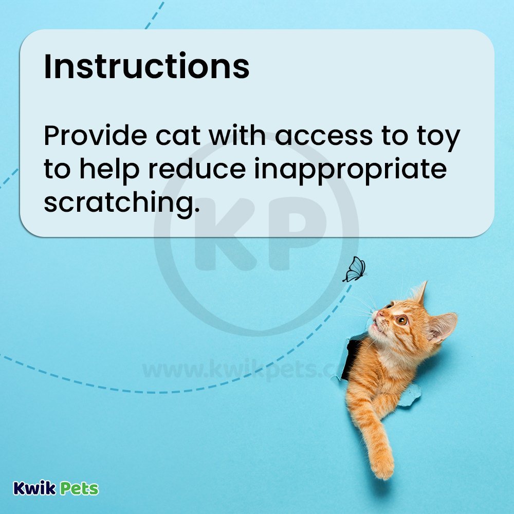 Bergan Star Chaser Catnip Toy Assorted