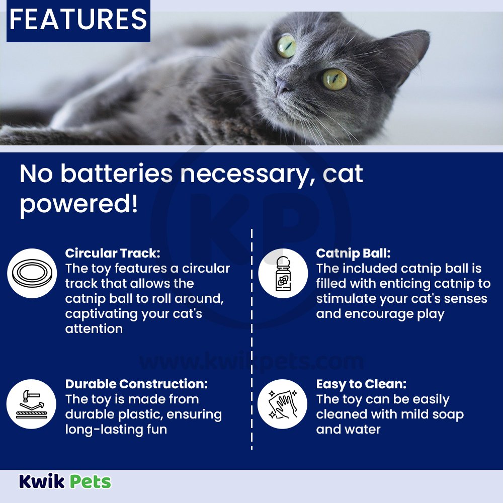 Fat Cat Crazy Circle Catnip Toy Blue Small