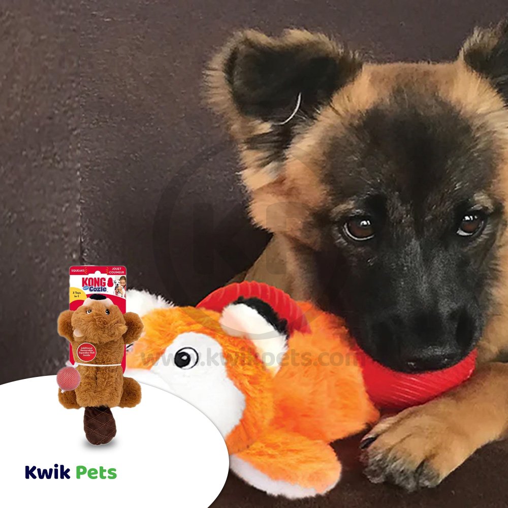 KONG Cozie Pocketz Dog Toy Beaver Small