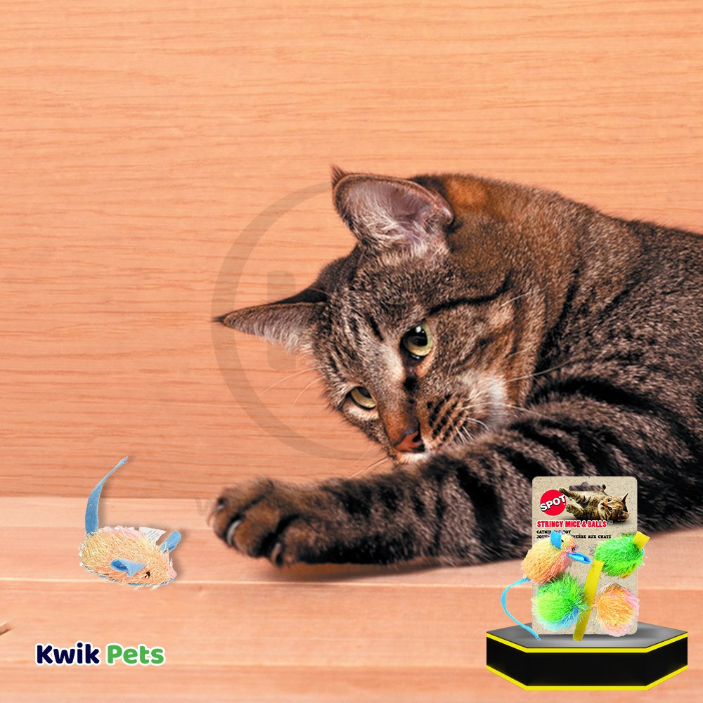 Spot Stringy Mice & Ball Cat Toy with Catnip Assorted 4 Count 2-in
