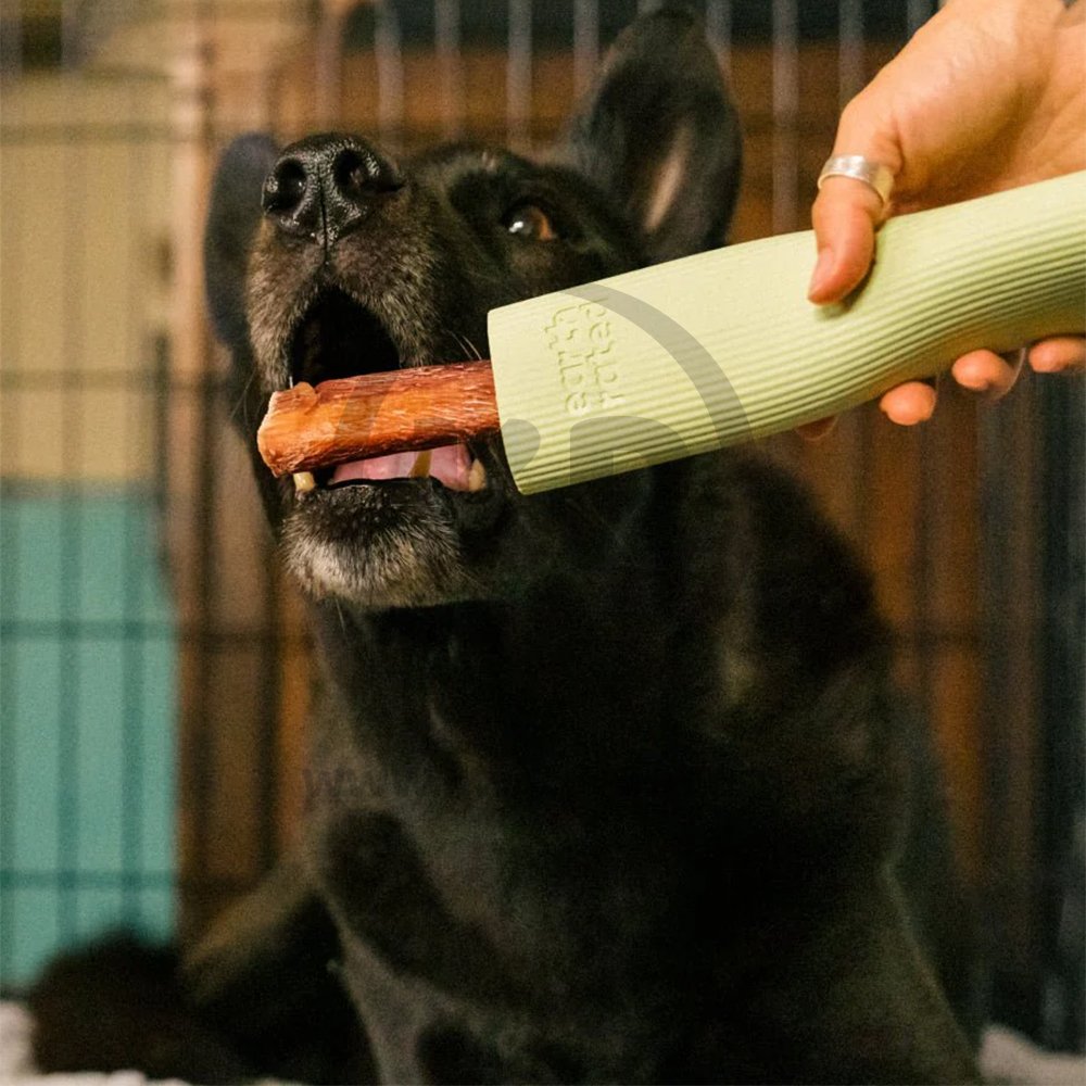 Earth Rated Natural Rubber Dog Chew & Enrichment Toy Green Small