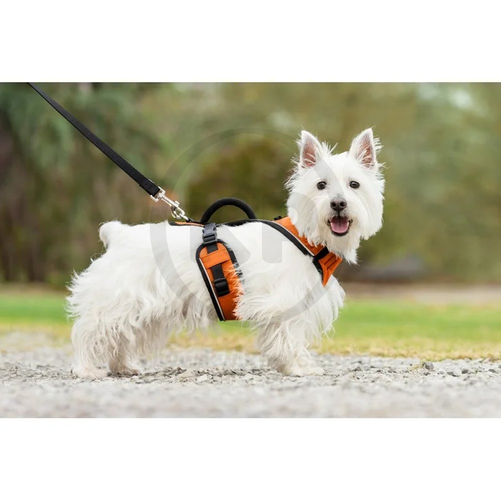 EasySport Comfortable Dog Harness Orange Small