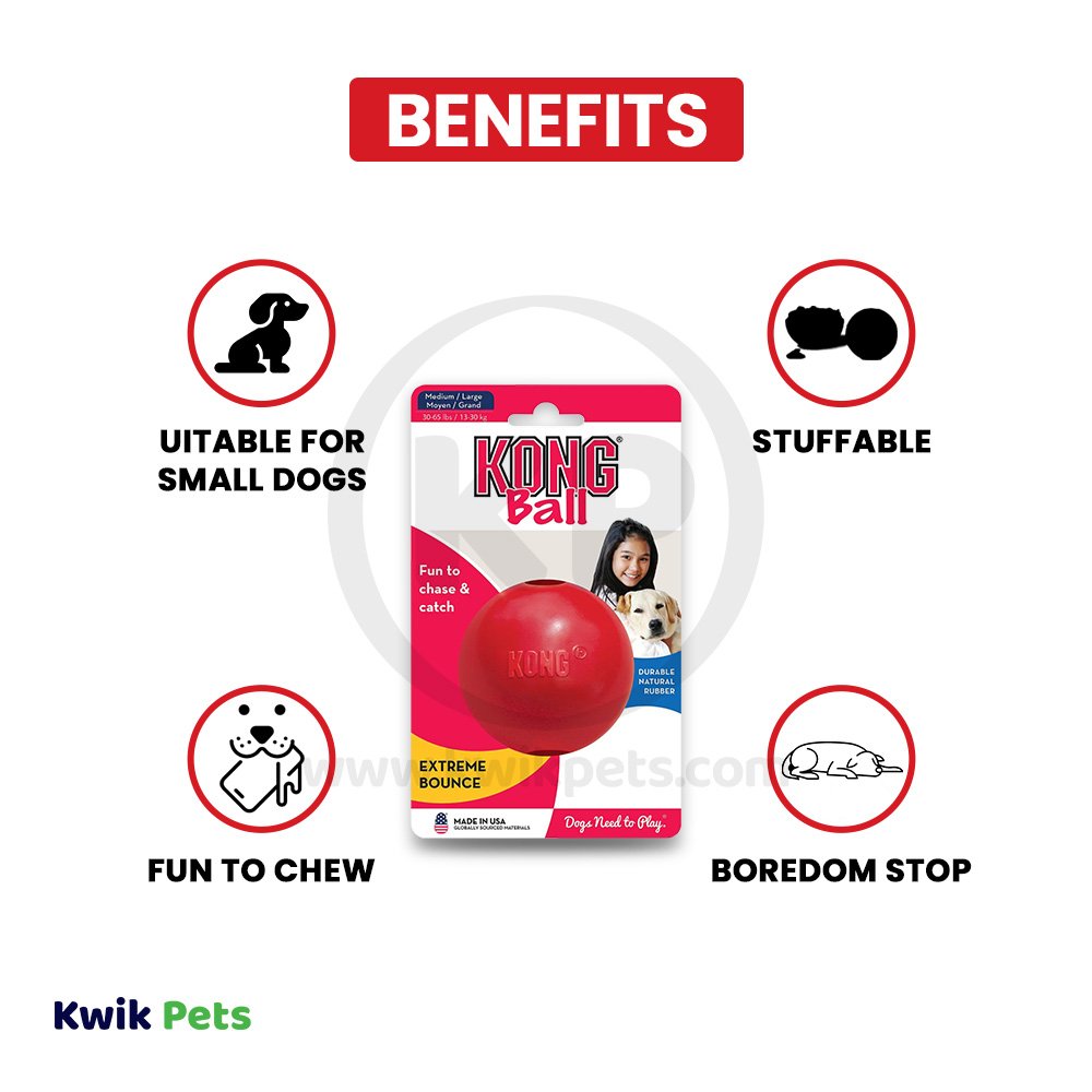 KONG Ball Dog Toy Red Medium/Large