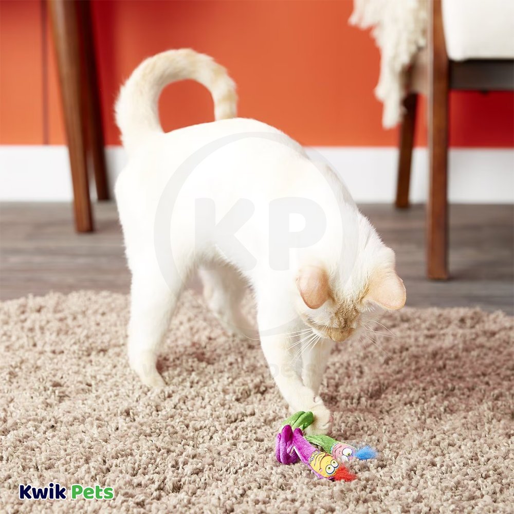 Fat Cat Classic Springy Worms Catnip Toy Assorted 2 Count