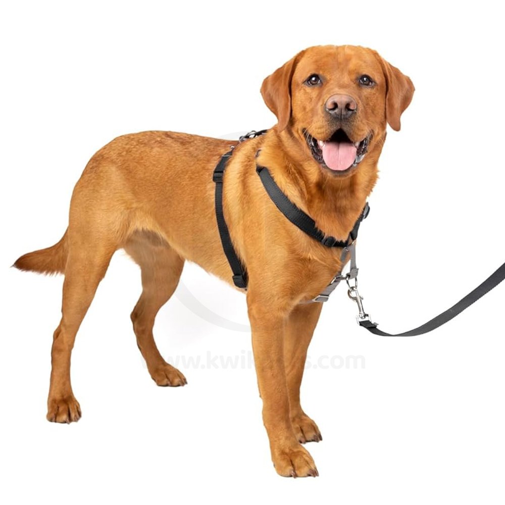 PetSafe 3-in-1 Reflective Dog Harness with Car Control Strap Black Large