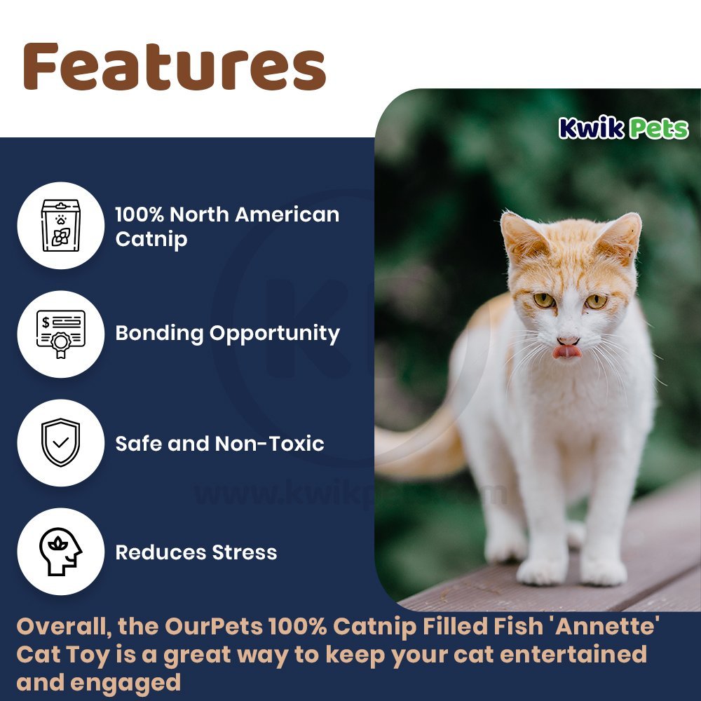 OurPets 100% Catnip Filled Fish 'Annette' Cat Toy Blue