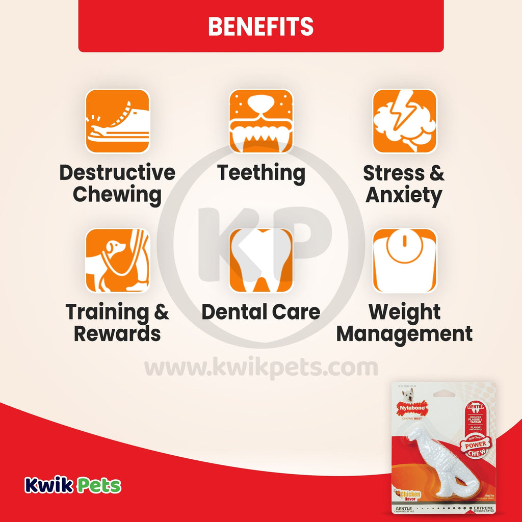 Nylabone Power Chew Dental Dinosaur Dog Toy Chicken White Small/Regular - Up To 25 Ibs