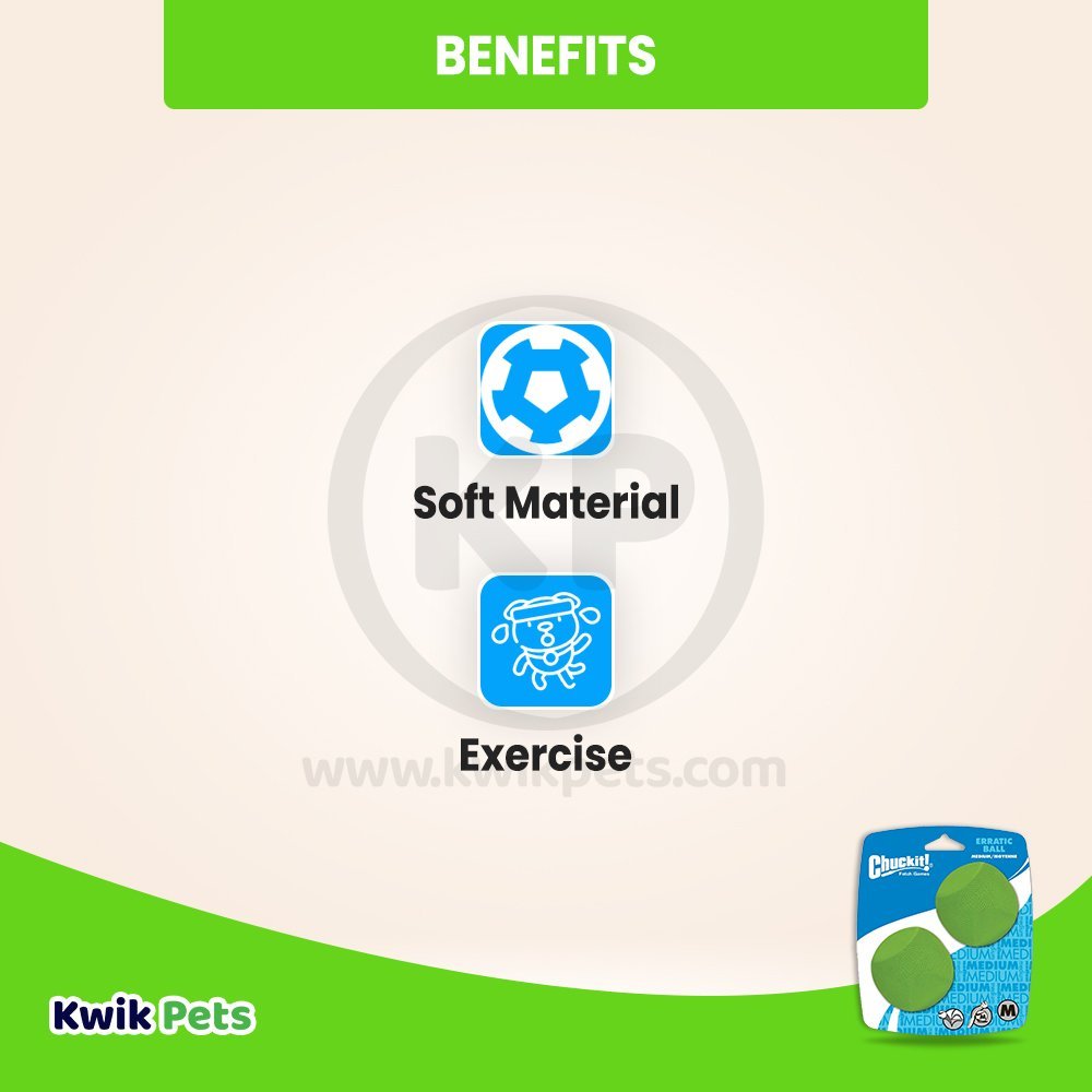 Chuckit! Erratic Ball Dog Toy Green Medium 2 Count