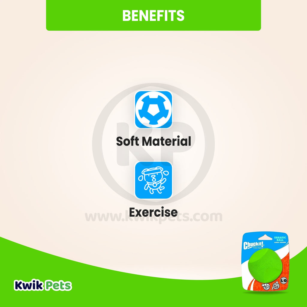 Chuckit! Erratic Ball Dog Toy Large