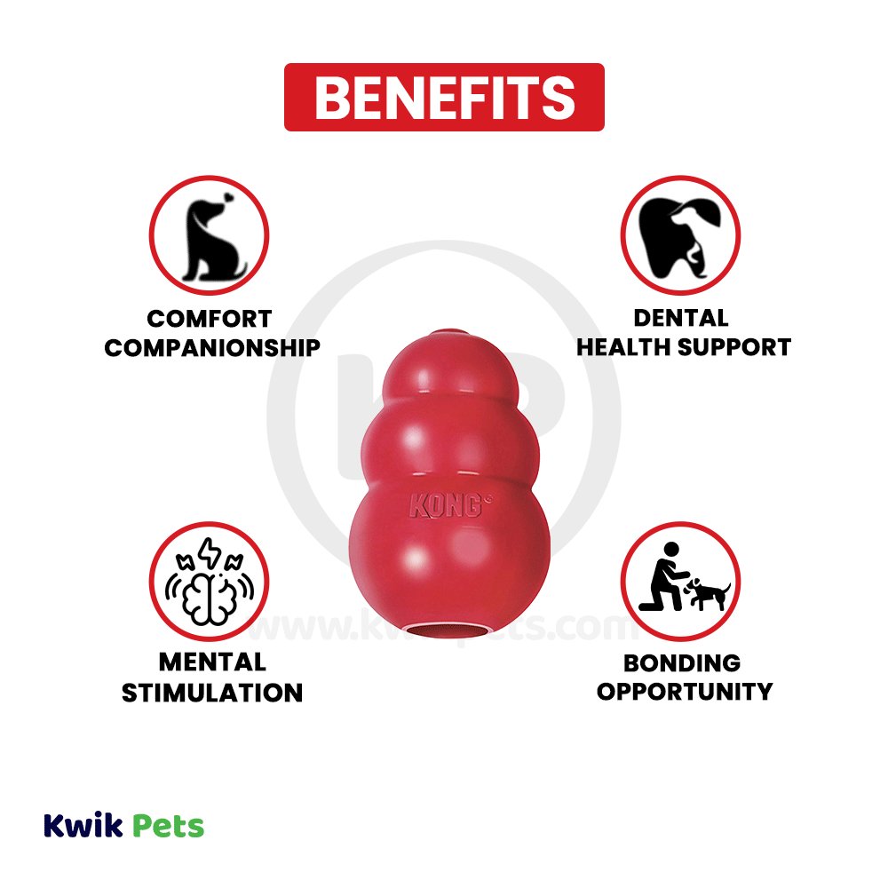 KONG Classic Dog Toy Small
