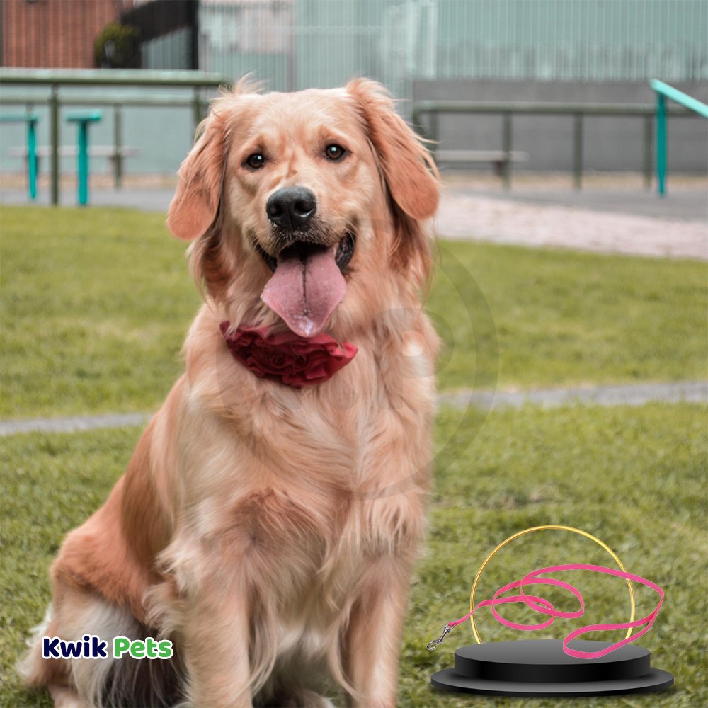 Coastal Single-Ply Nylon Dog Leash Pink Flamingo 5/8 in X 6 ft