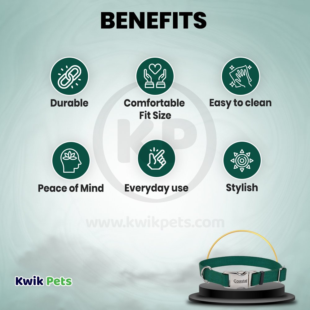 Coastal Double-Ply Nylon Dog Collar Hunter 1 in X 22 in