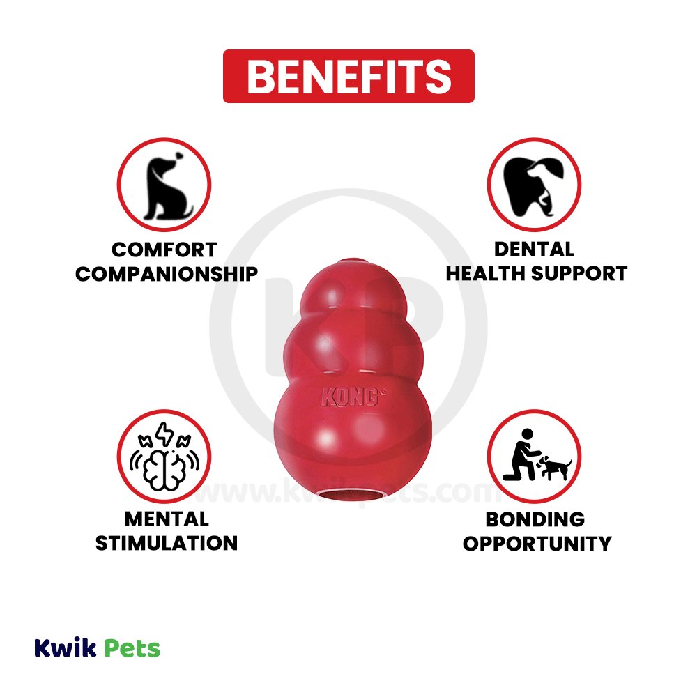 KONG Classic Dog Toy XXS