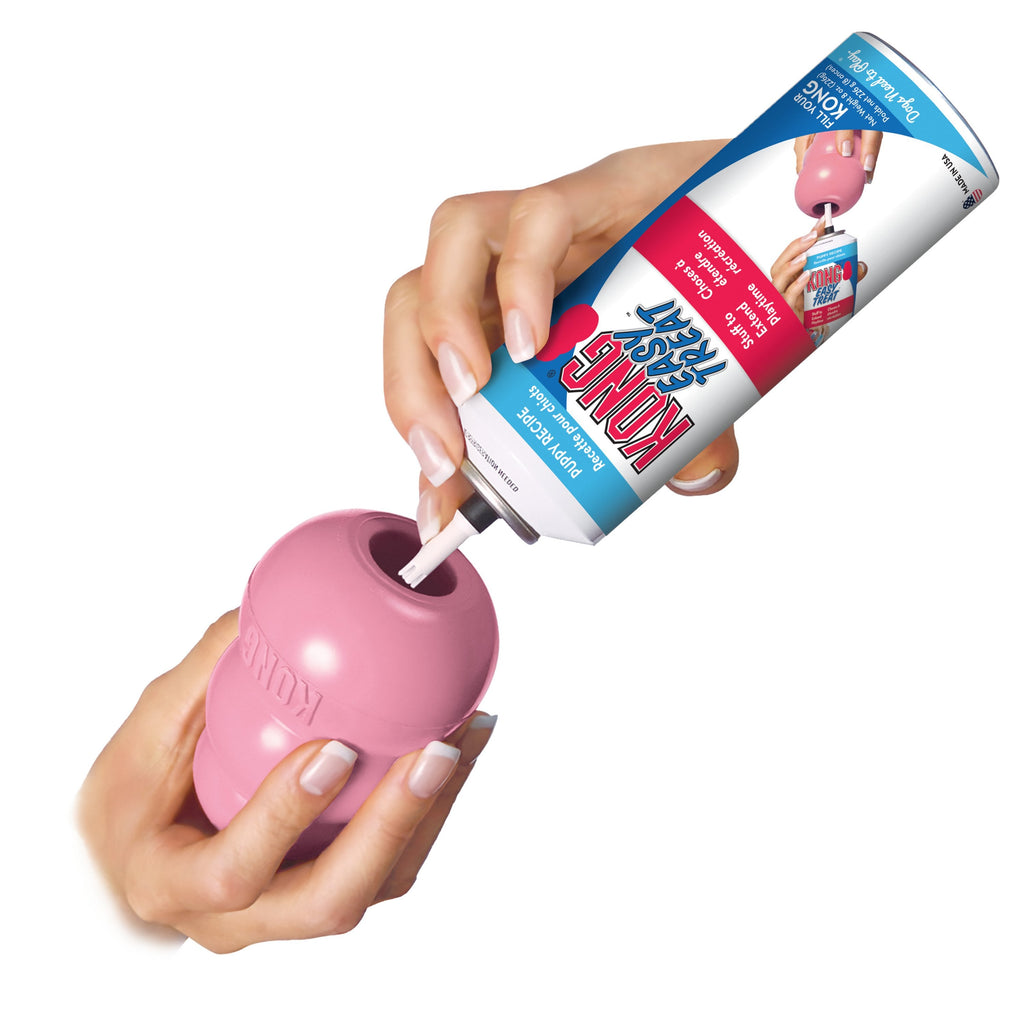 KONG Puppy Toy Assorted Small