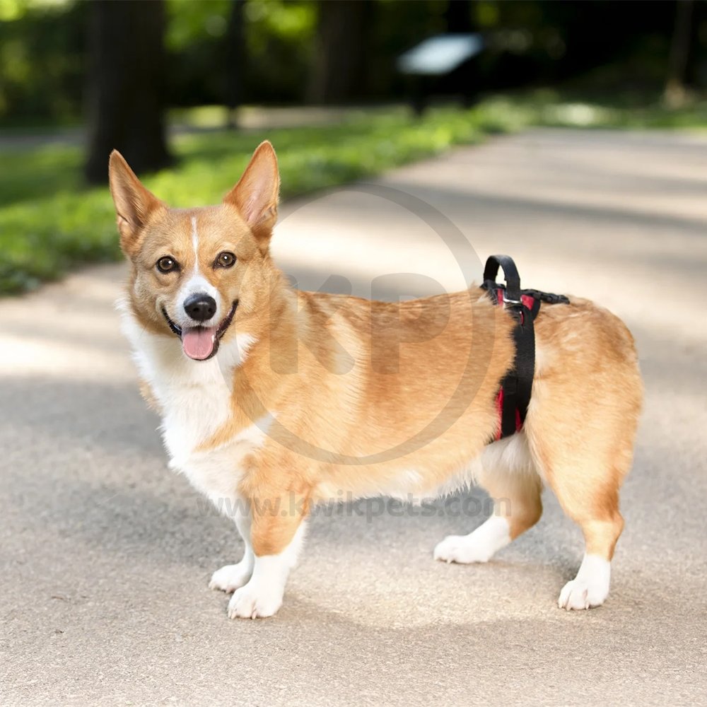 PetSafe CareLift Rear Support Dog Harness Black & Red Small