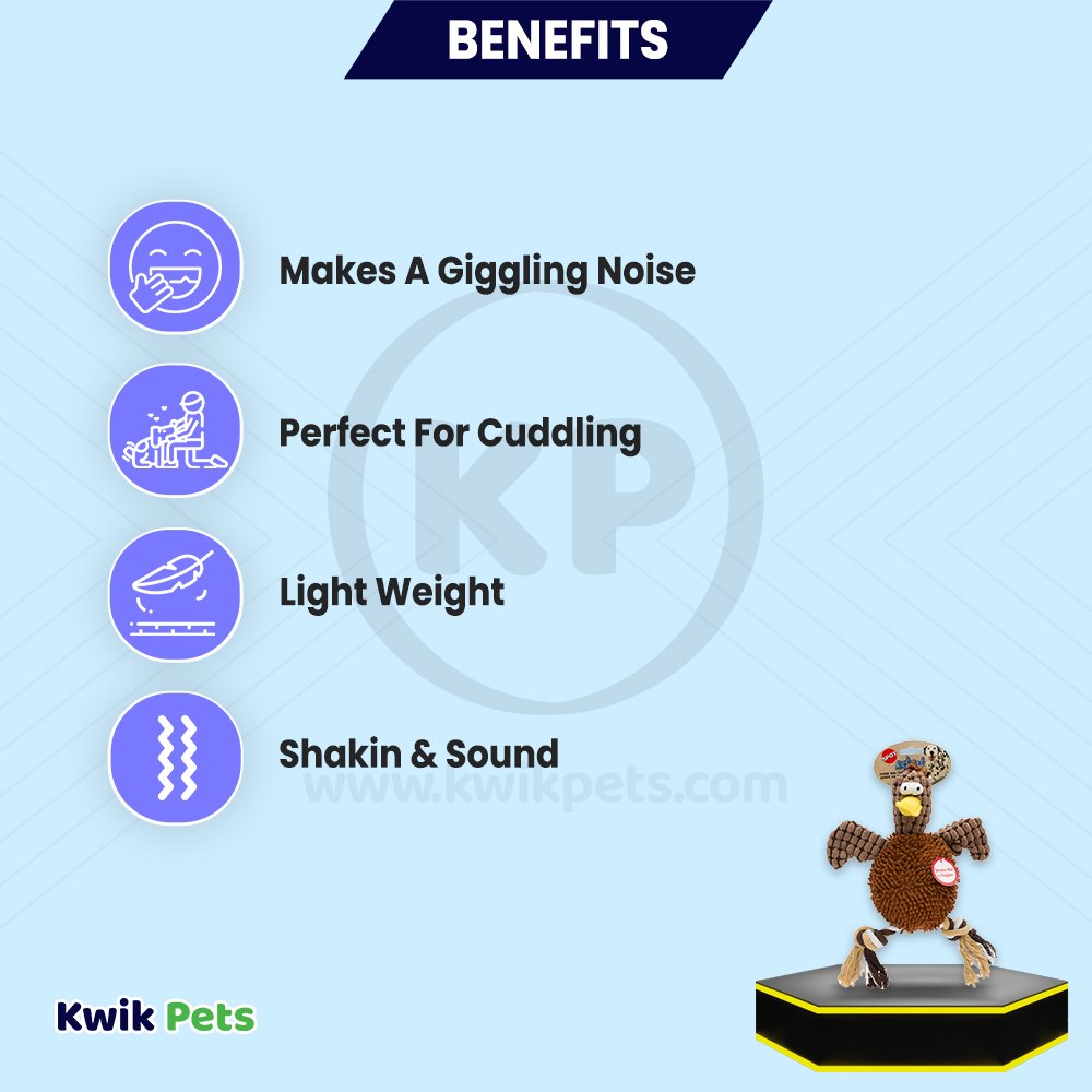 Spot Giggler Plush Dog Toy Chicken Assorted 12-in