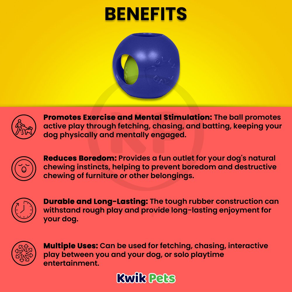 Jolly Pet Teaser Ball Dog Toy Blue Medium 6-in