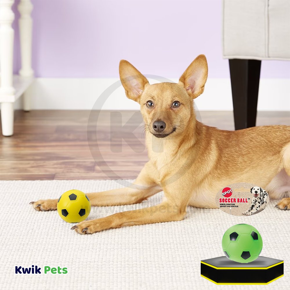 Spot Soccer Ball Dog Toy Assorted 3-in