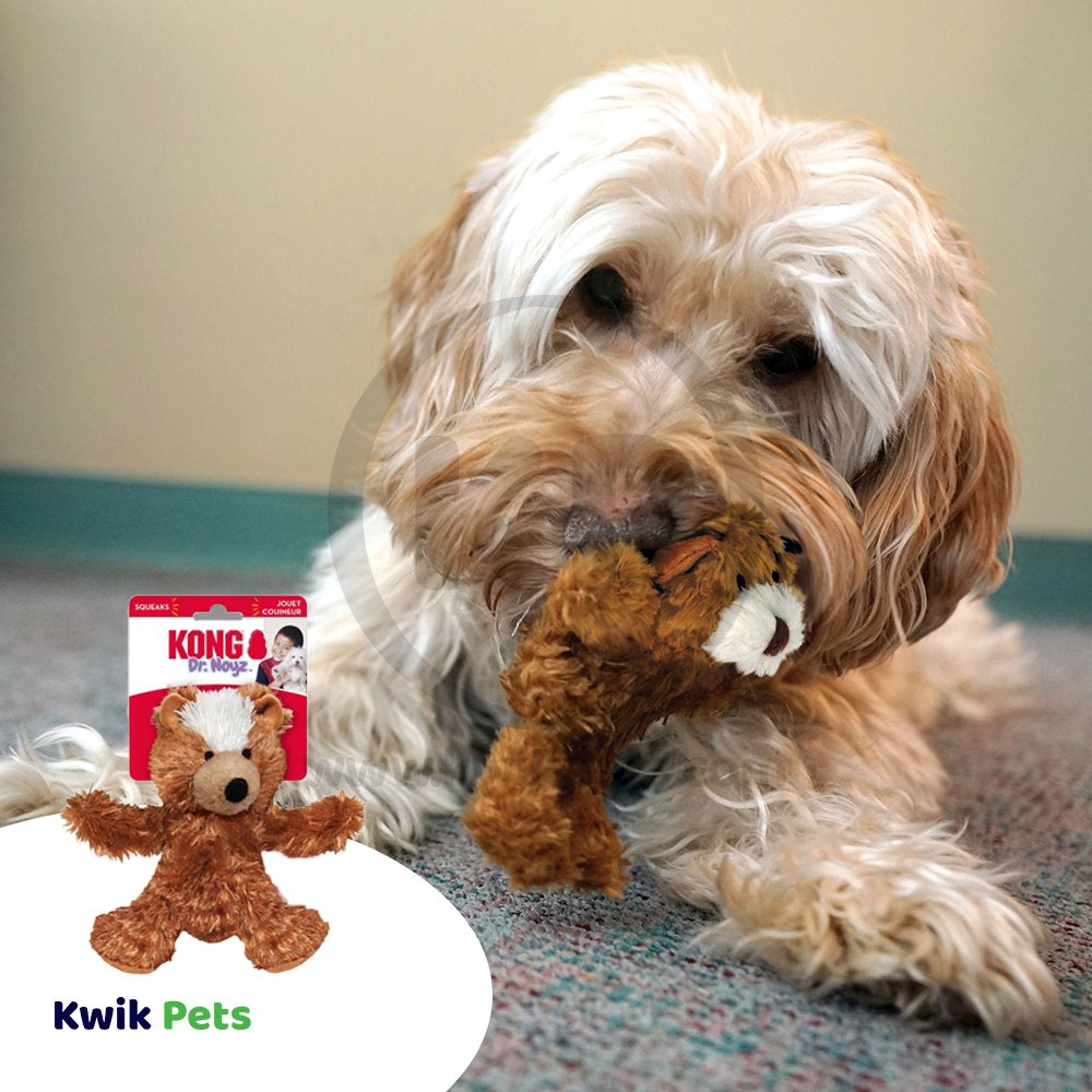 KONG Unstuffed Dog Toy Teddy Bear with Squeaker Medium