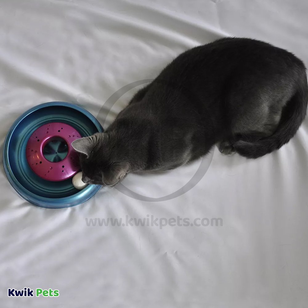 Bergan Catnip Cyclone Interactive Cat Toy