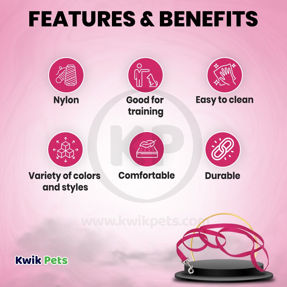 Coastal Single-Ply Nylon Dog Leash Pink Flamingo 1 in X 6 ft