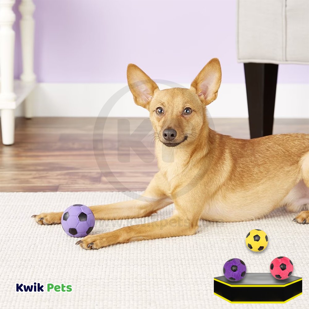 Spot Latex Soccer Ball Dog Toy Assorted 2-in