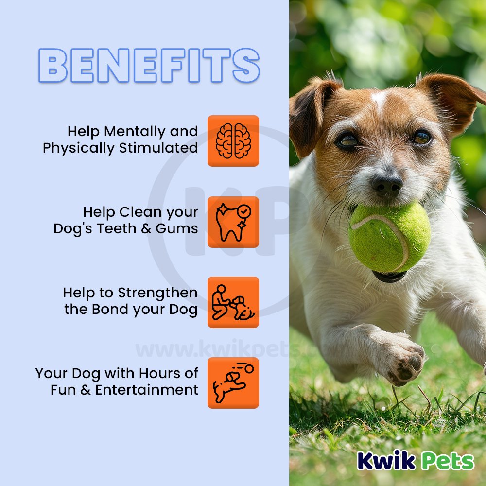 Petsport USA Jr. Mint Balls Dog Toy Assorted 1.8-in 2 Count