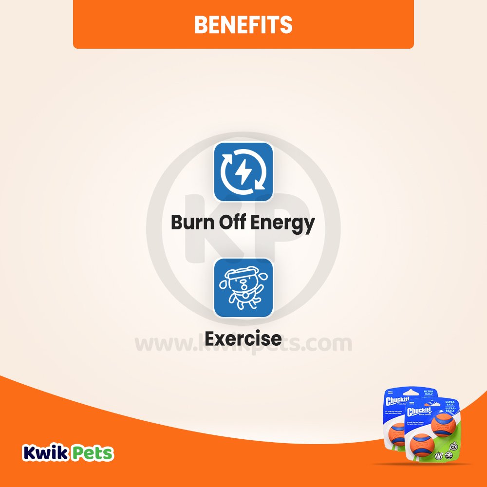 Chuckit! Ultra Ball Dog Toy Blue/Orange Small 2 Pack of 2 Count