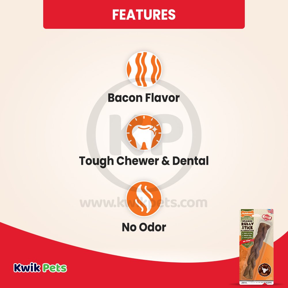 Nylabone Power Chew Braided Bully Stick Alternative Dog Toy Beef Large/Giant - Up To 50 lbs