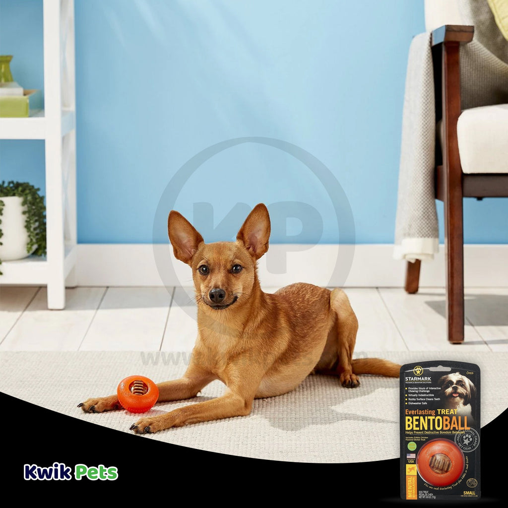 Starmark Bento Ball Dog Toy Orange Small