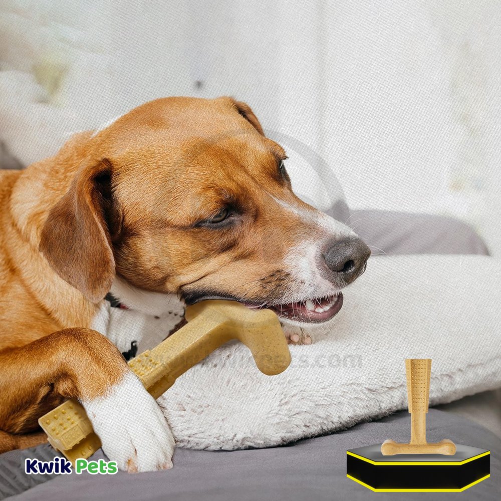 Spot Bam-Bone Plus Dog Chew Chicken Small  4-in