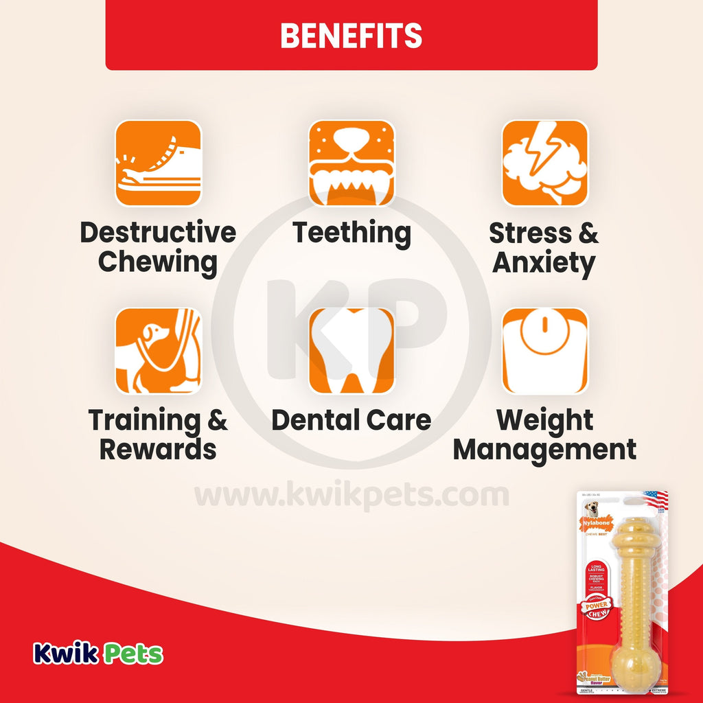 Nylabone Barbell Power Chew Durable Dog Toy Peanut Butter Large/Giant - Up To 50 lbs