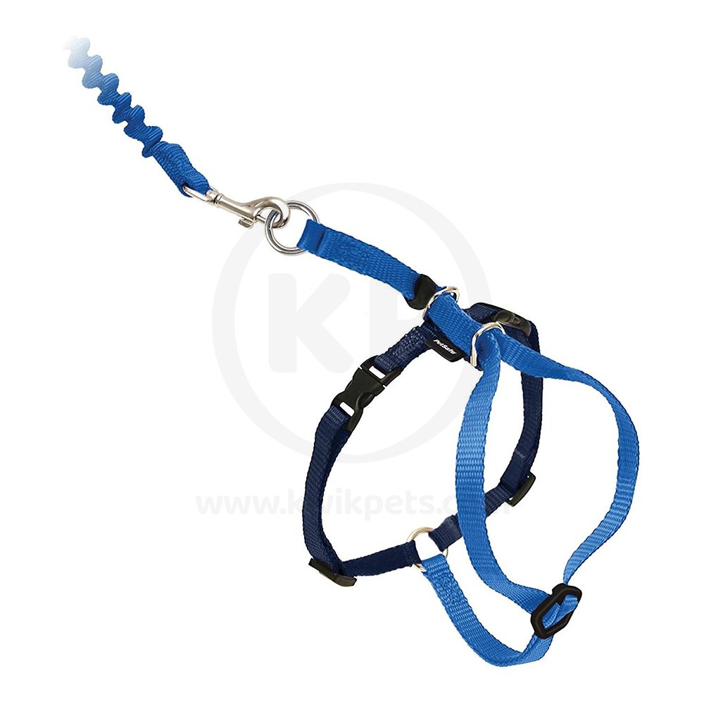PetSafe Premier Come With Me Kitty Harness & Bungee Leash Combo Royal Blue/Navy Large