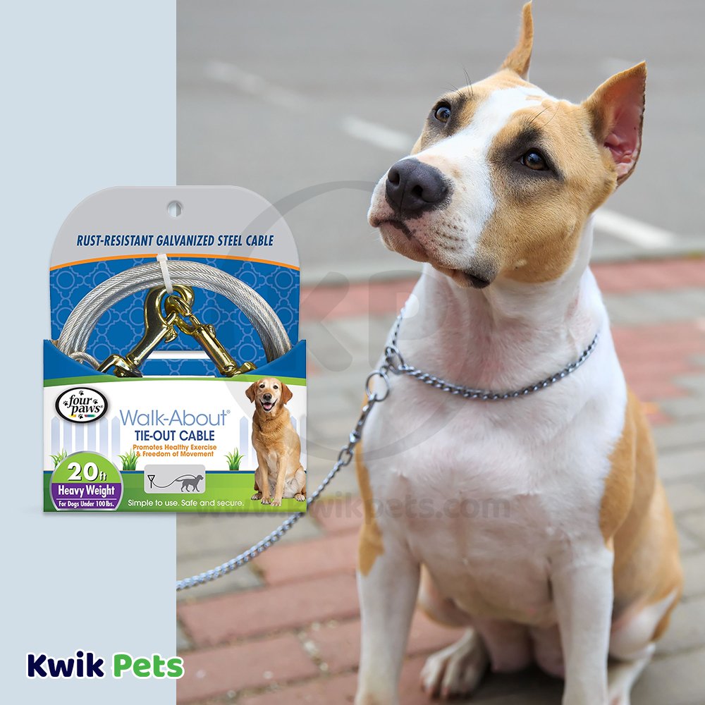 Four Paws Heavy Weight Dog Tie-Out Cable Silver 20-ft