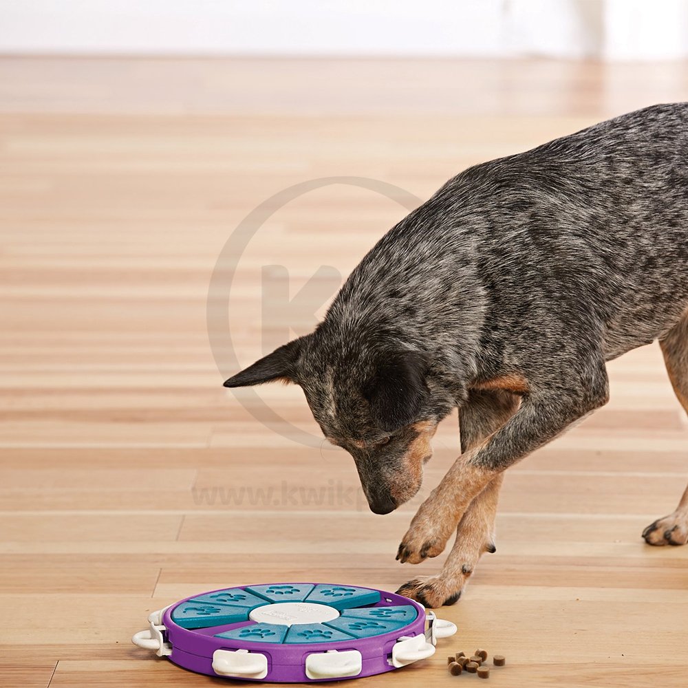 Nina Ottosson Twister Interactive Dog Toy Purple Large 13.25-in