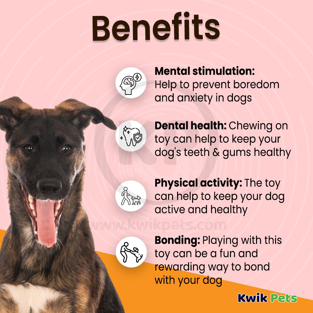 Nina Ottosson Smart Interactive Dog Toy Orange White 10.63-in