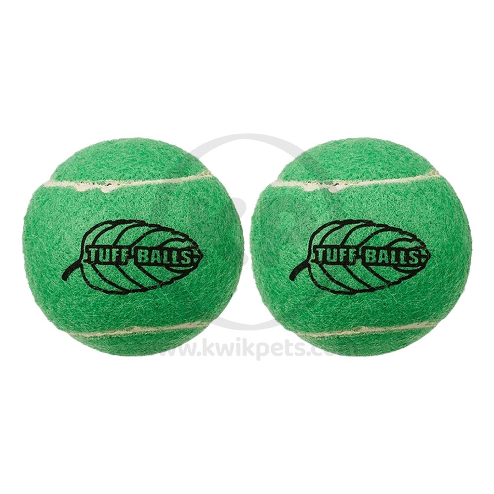Petsport USA Mint Balls Dog Toy Green 2 Count 2.5-in