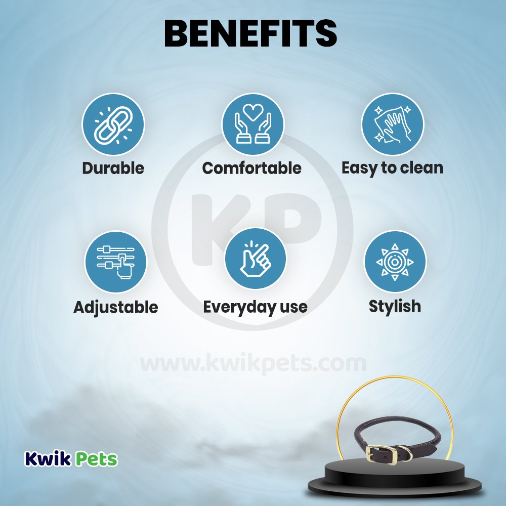 Coastal Circle T Latigo Leather Round Dog Collar Brown 3/4 in X 20 in