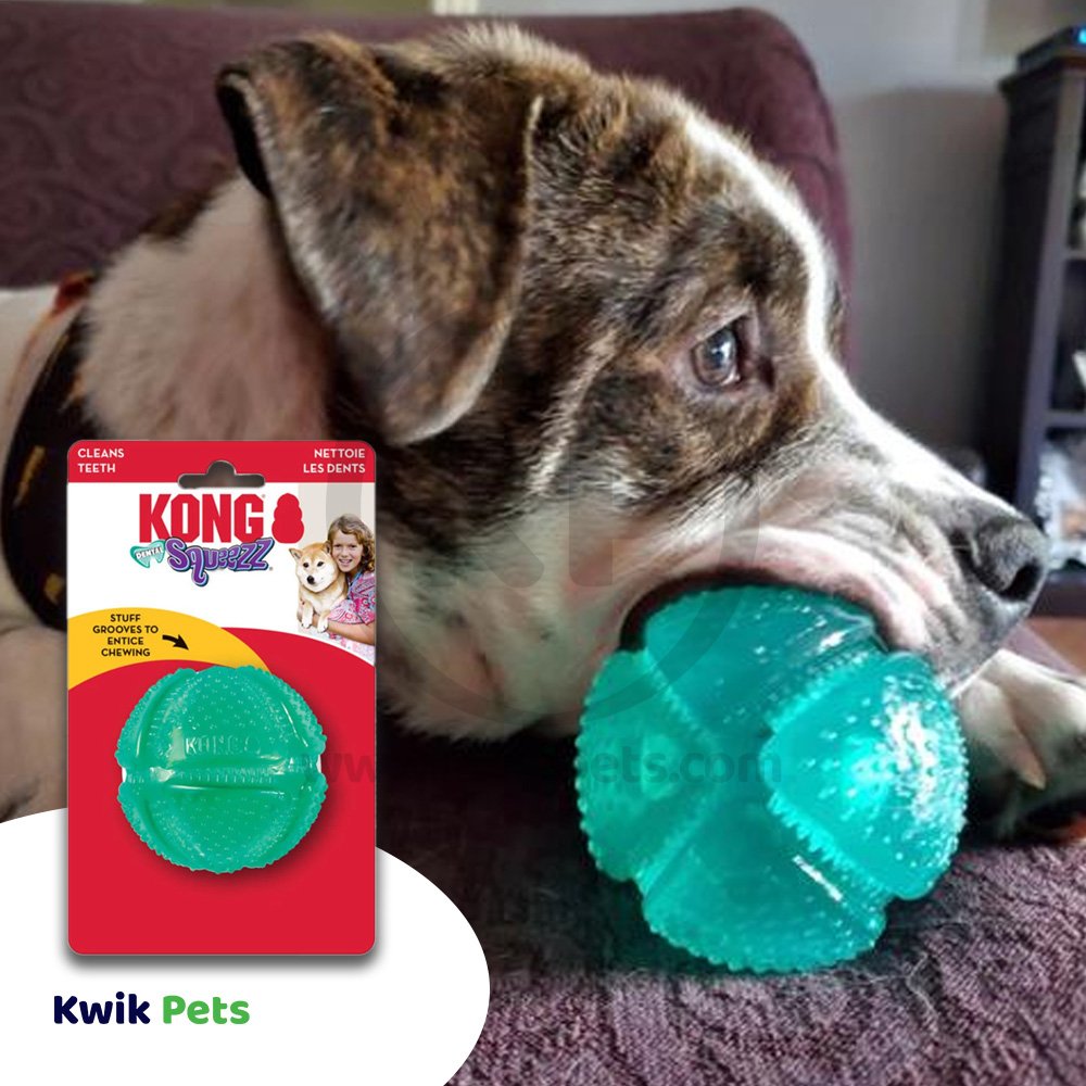 KONG Dental Squeezz Ball Dog Chew Toy Teal Medium