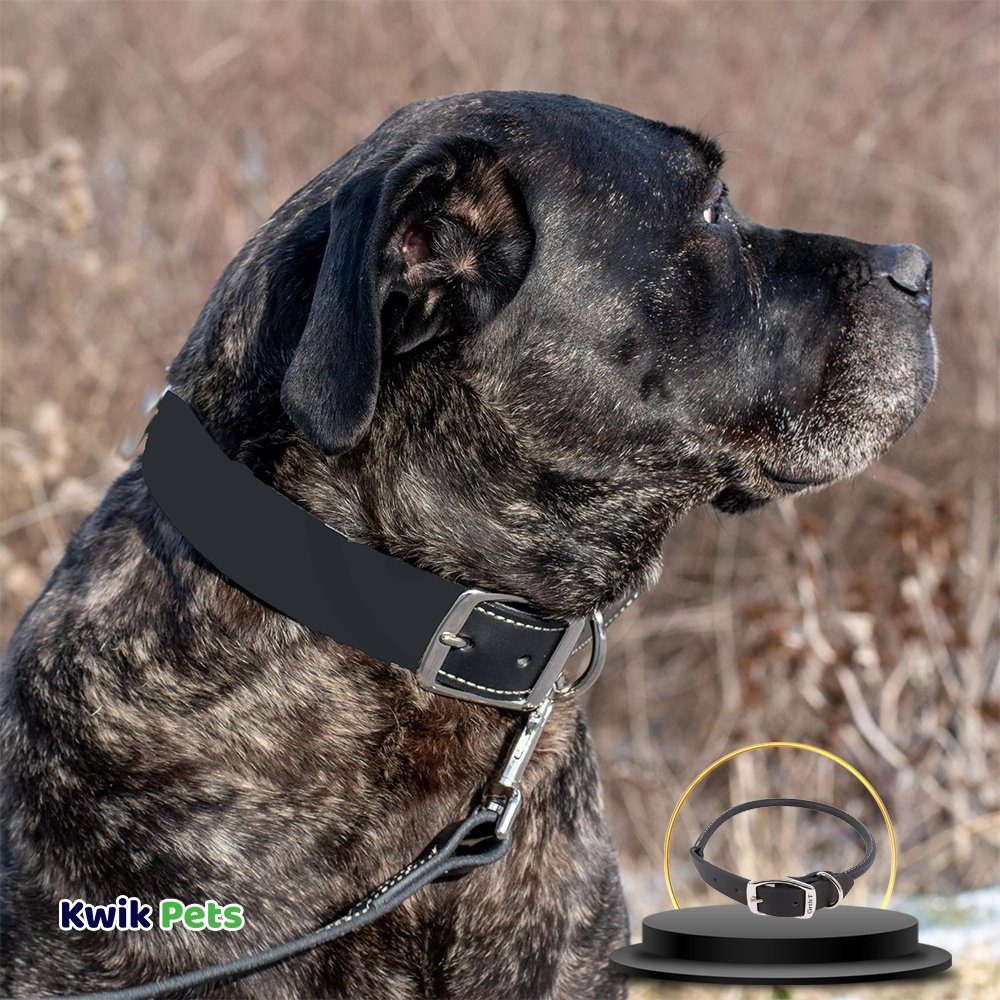 Coastal Circle T Oak Tanned Leather Round Dog Collar Black 3/4 in X 18 in