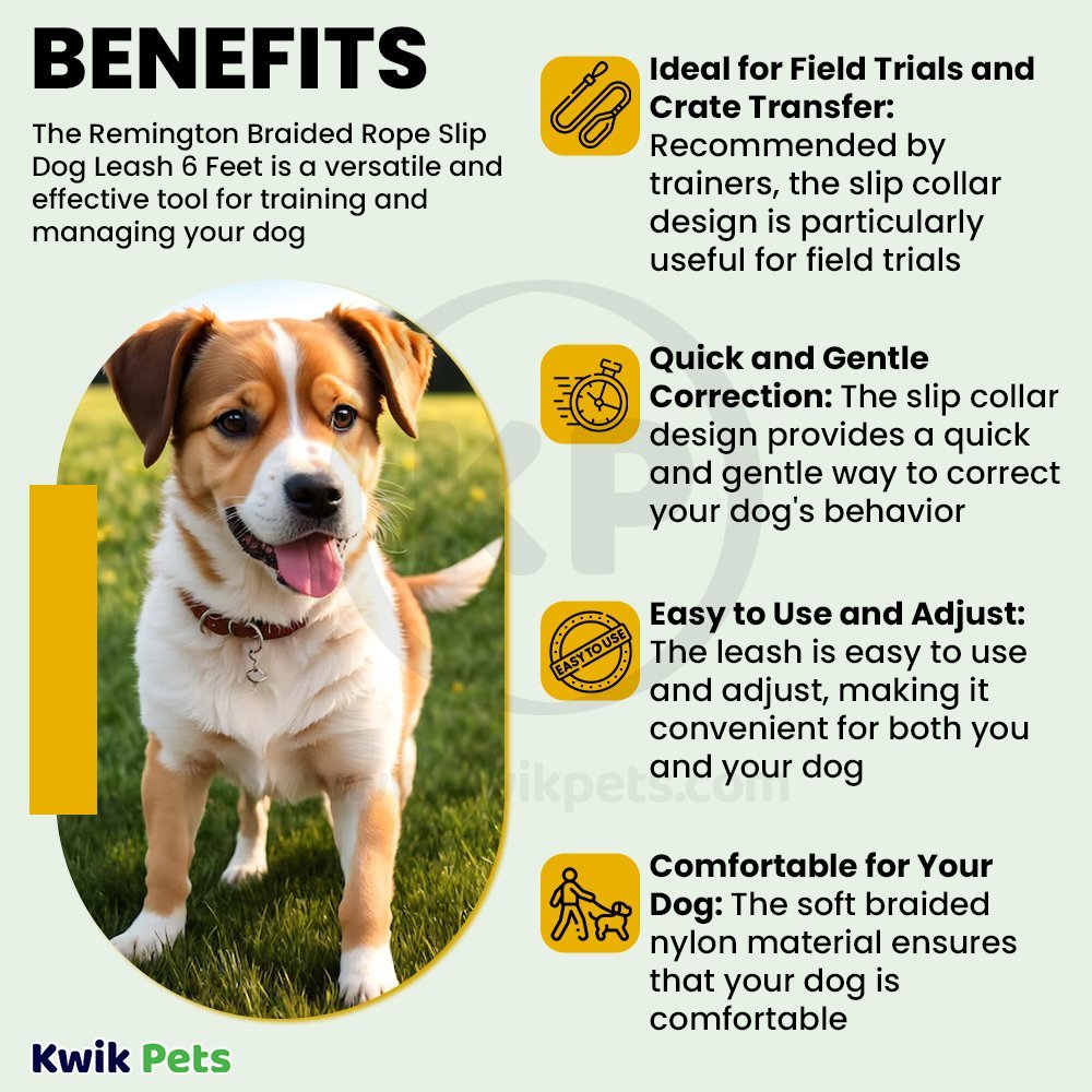 Remington Braided Rope Slip Dog Leash 6 Feet