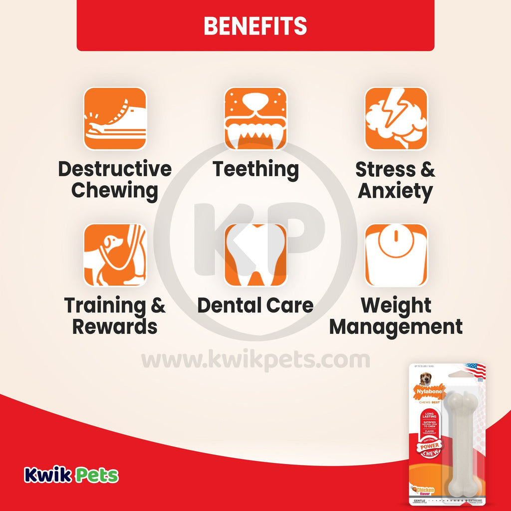 Nylabone Power Chew Dog Toy Chicken Medium/Wolf - Up To 35 lbs